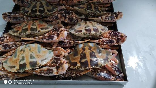 Royal Thai Restaurant Pvt. Ltd